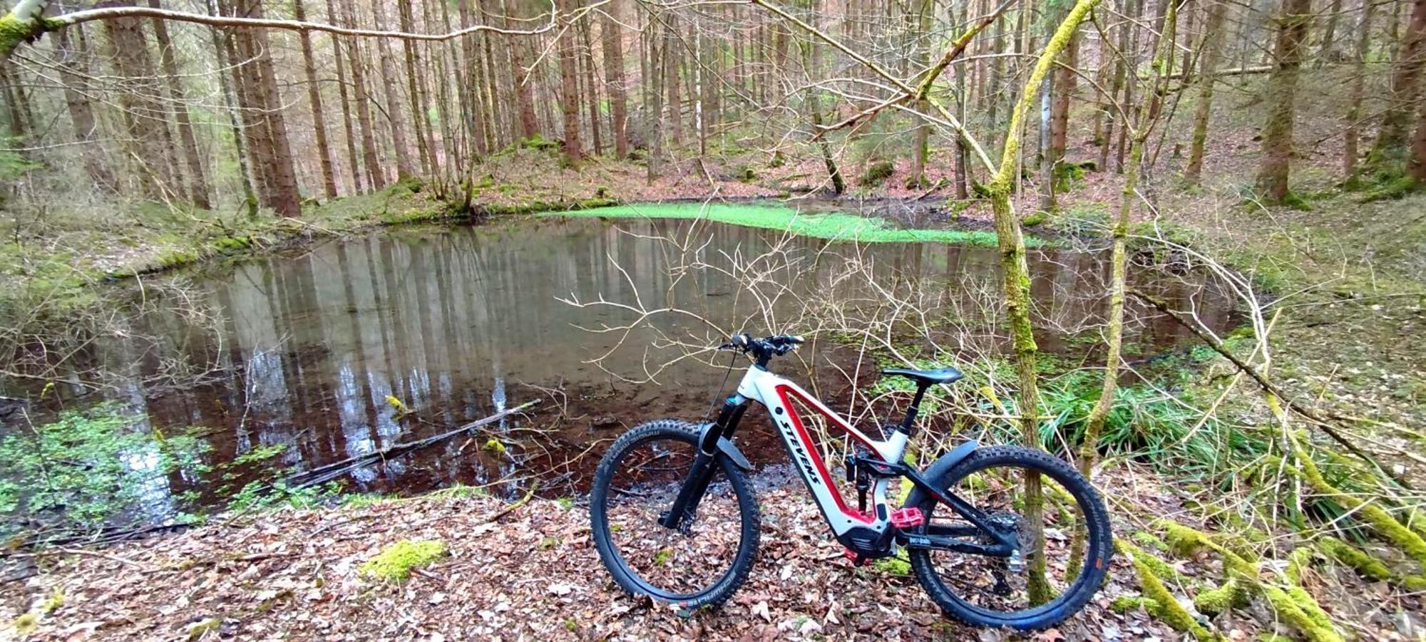 Ferienwohnung Hecht - Biketrail Fun & Relaxing Wolfegg Dış mekan fotoğraf